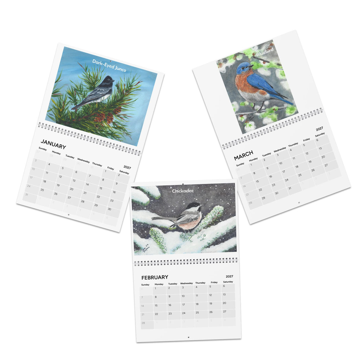 Seasonal Birds 2027 Wall Calendar — Watercolor Bird Art