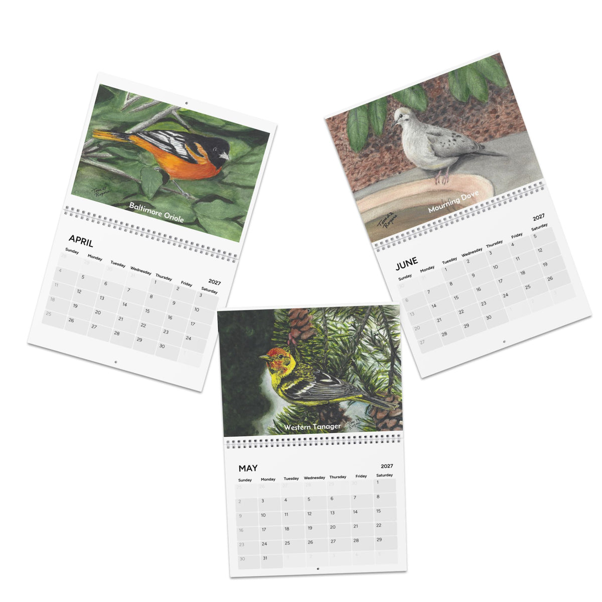Seasonal Birds 2027 Wall Calendar — Watercolor Bird Art