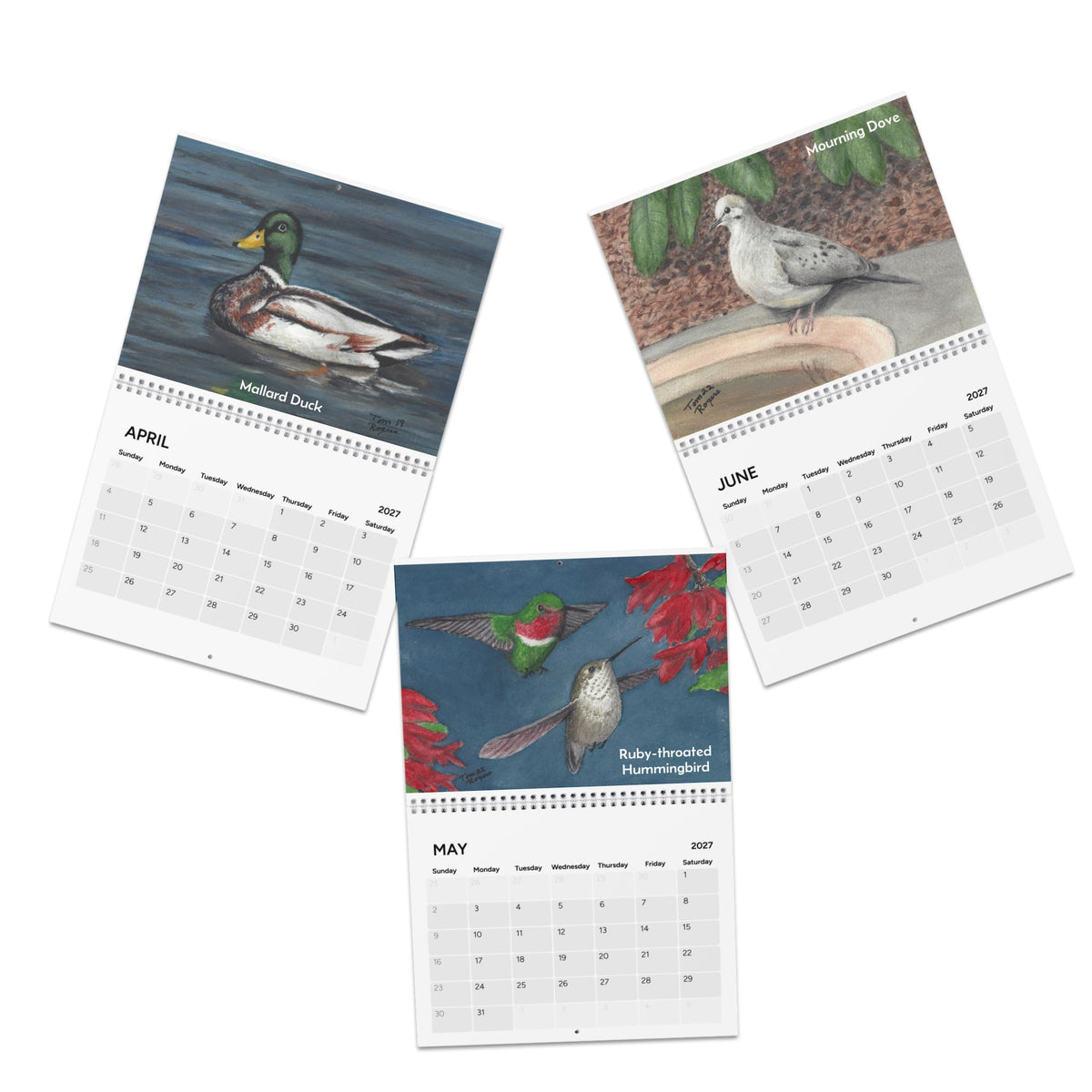 Birds of the Year 2027 Calendar — Watercolor Bird Wall Calendar