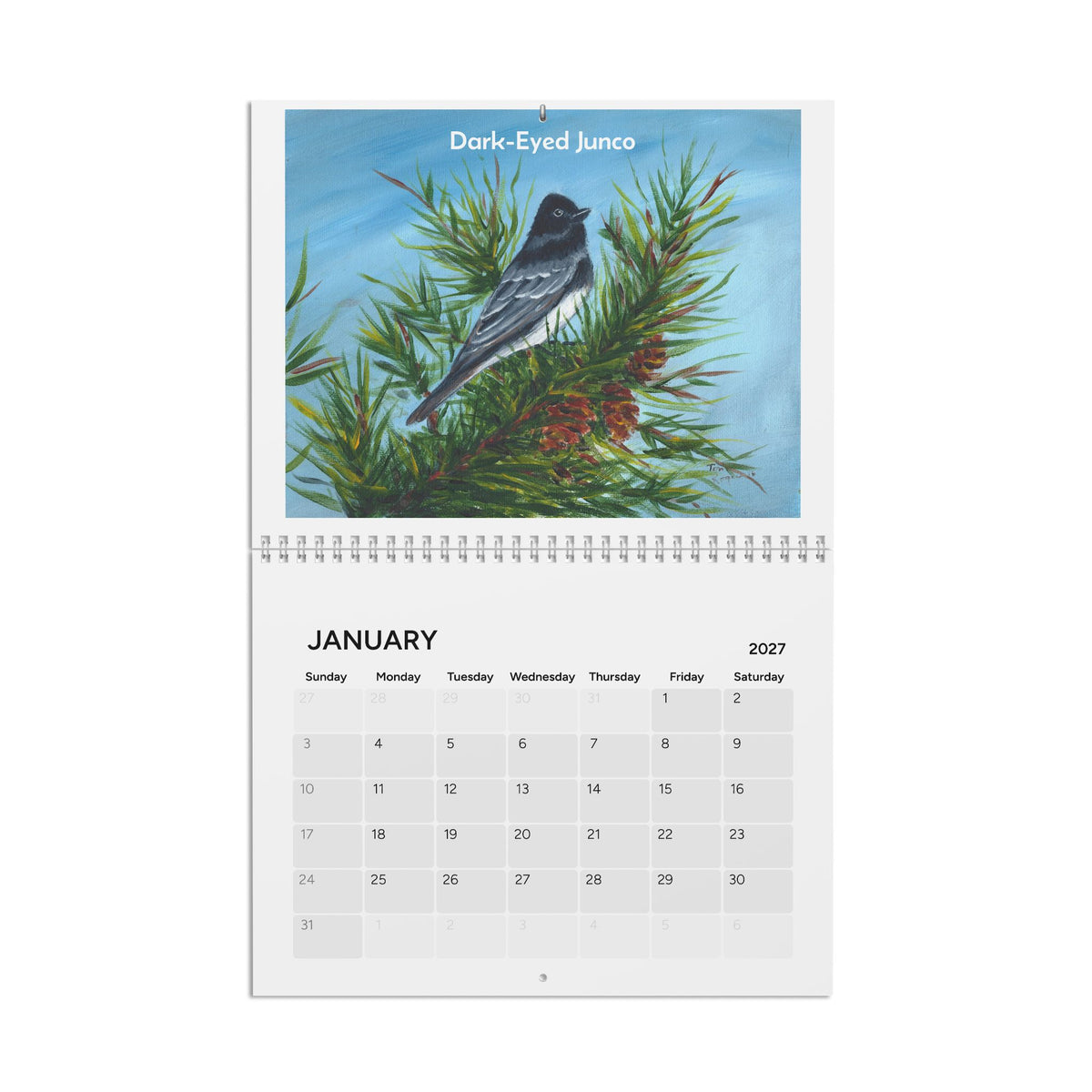 Seasonal Birds 2027 Wall Calendar — Watercolor Bird Art