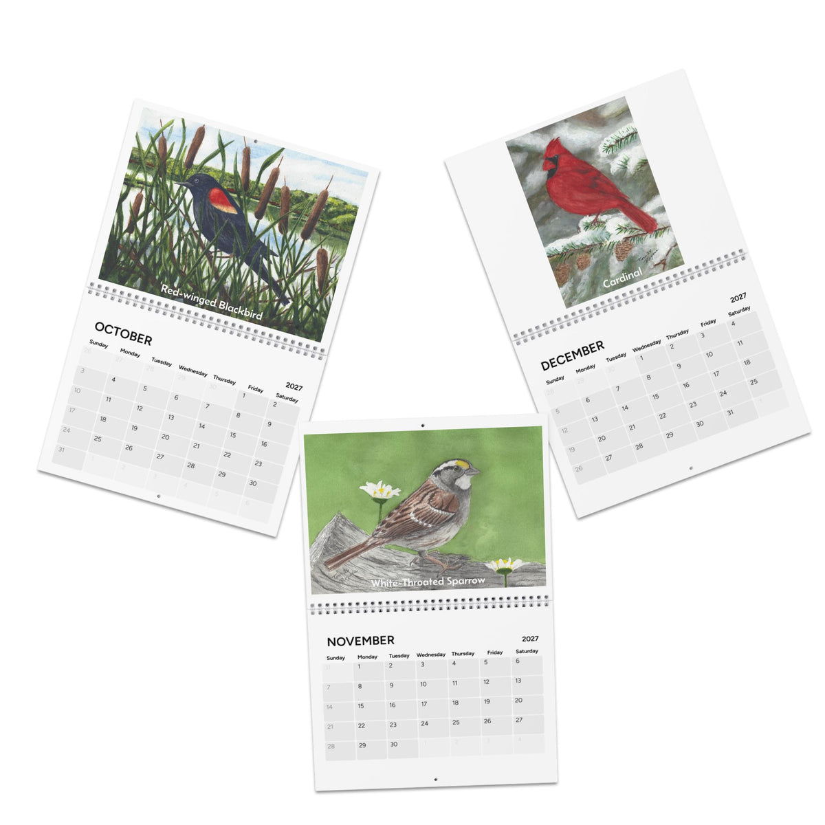Seasonal Birds 2027 Wall Calendar — Watercolor Bird Art