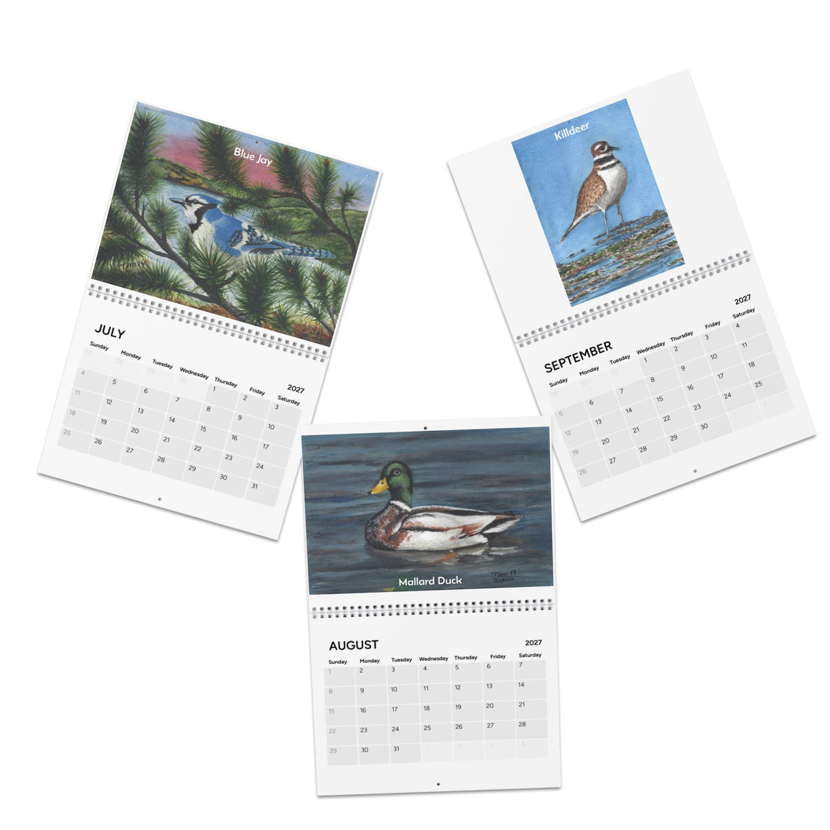 Seasonal Birds 2027 Wall Calendar — Watercolor Bird Art