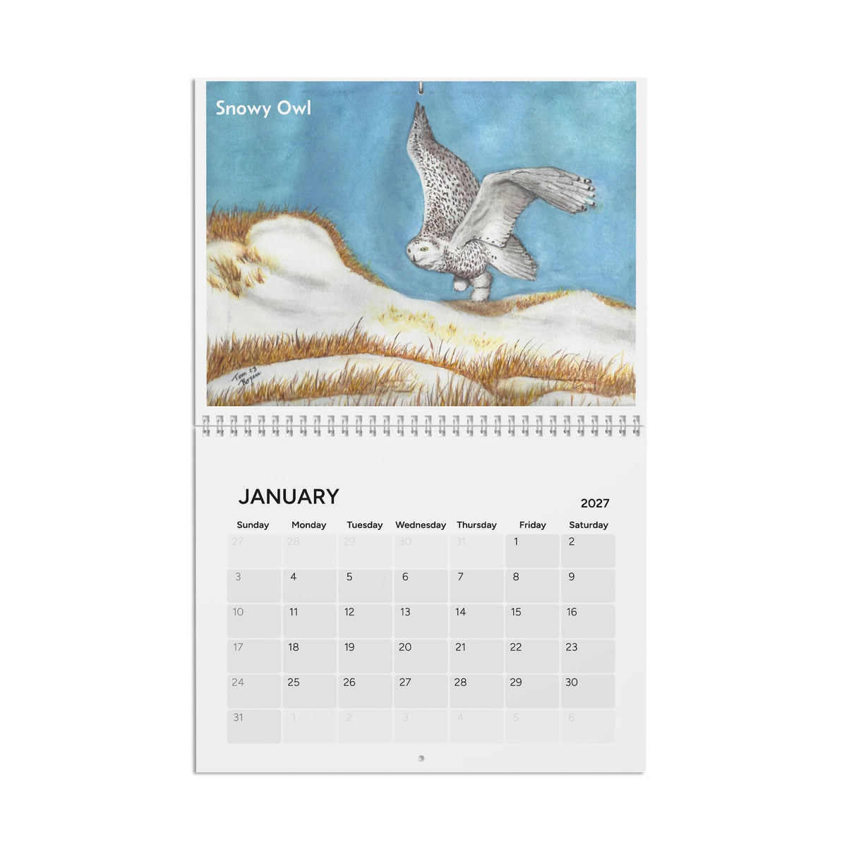 Birds of the Year 2027 Calendar — Watercolor Bird Wall Calendar