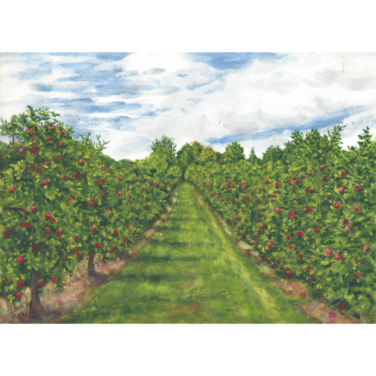 Apple orchard - NH