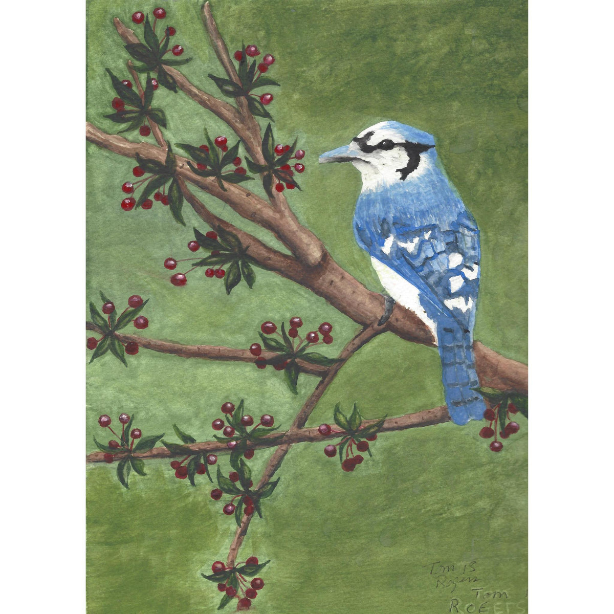 Blue Jay