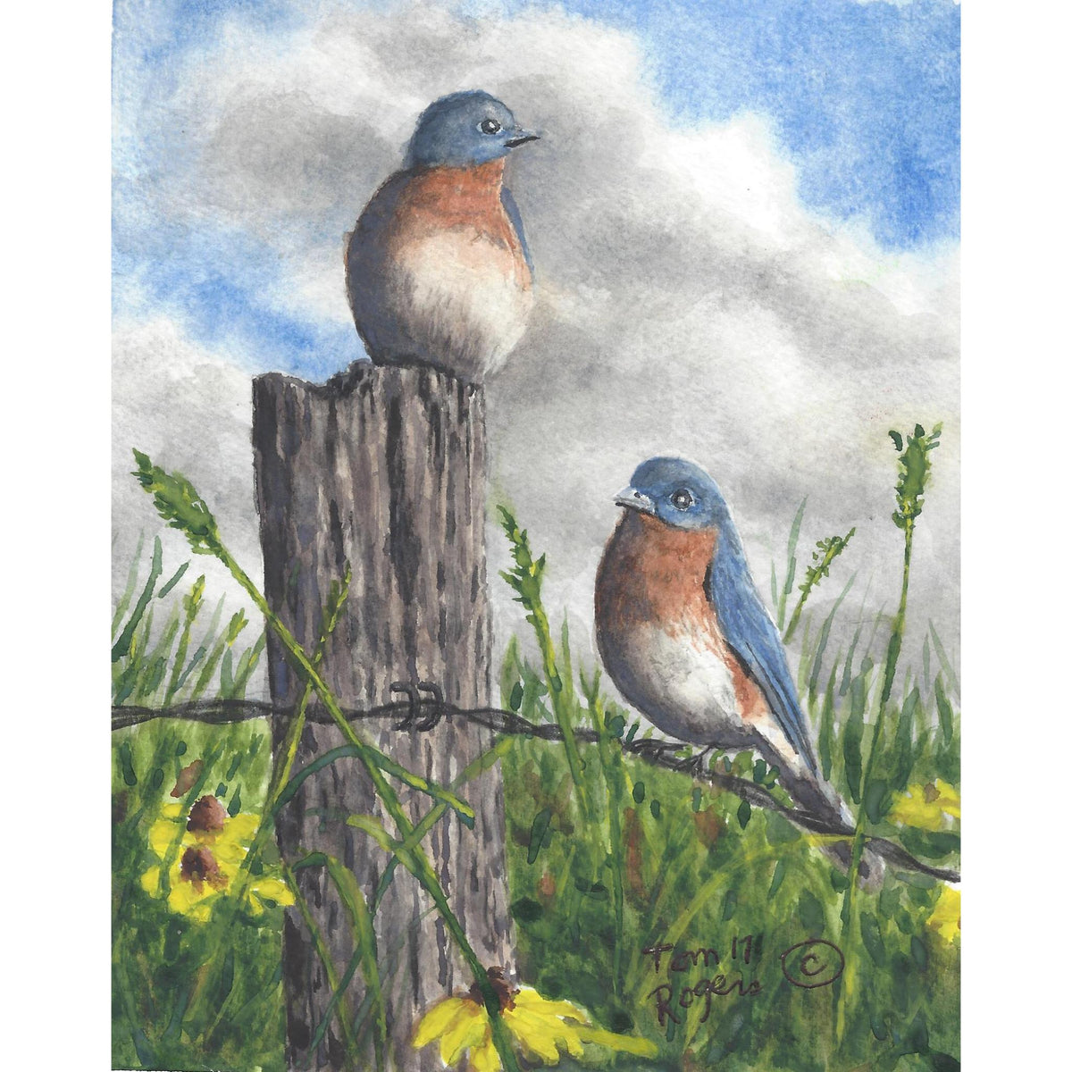 Bluebird