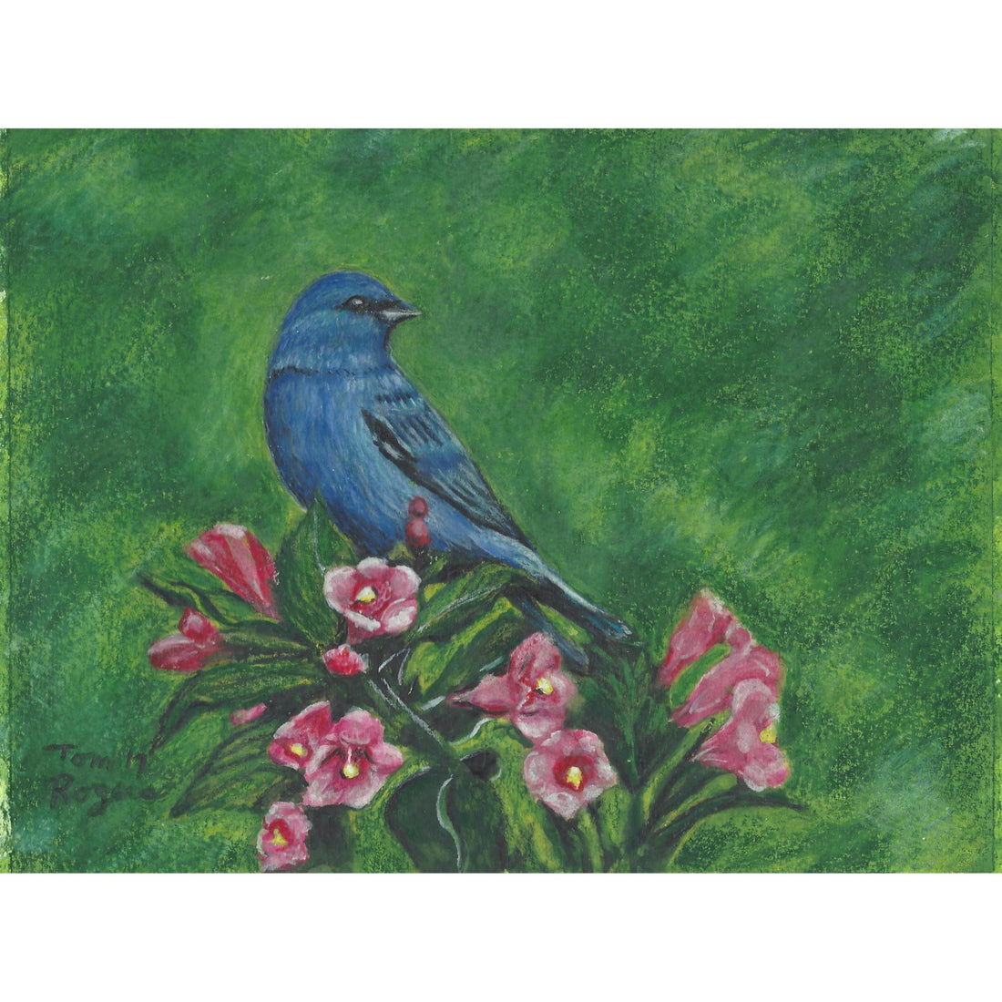 Bluebird