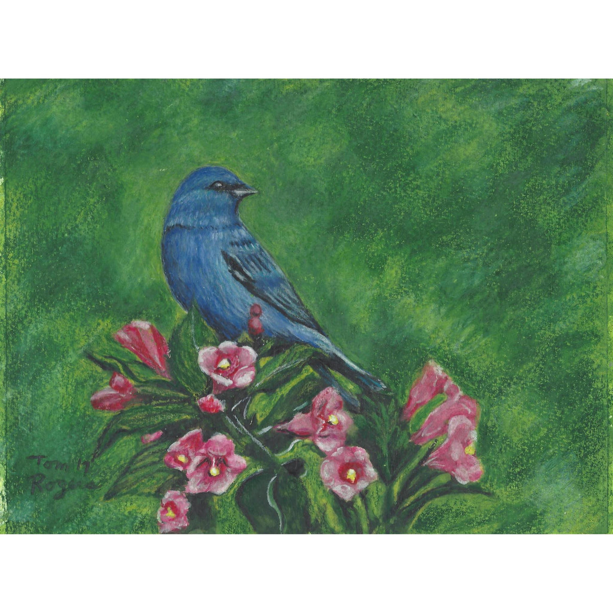 Bluebird
