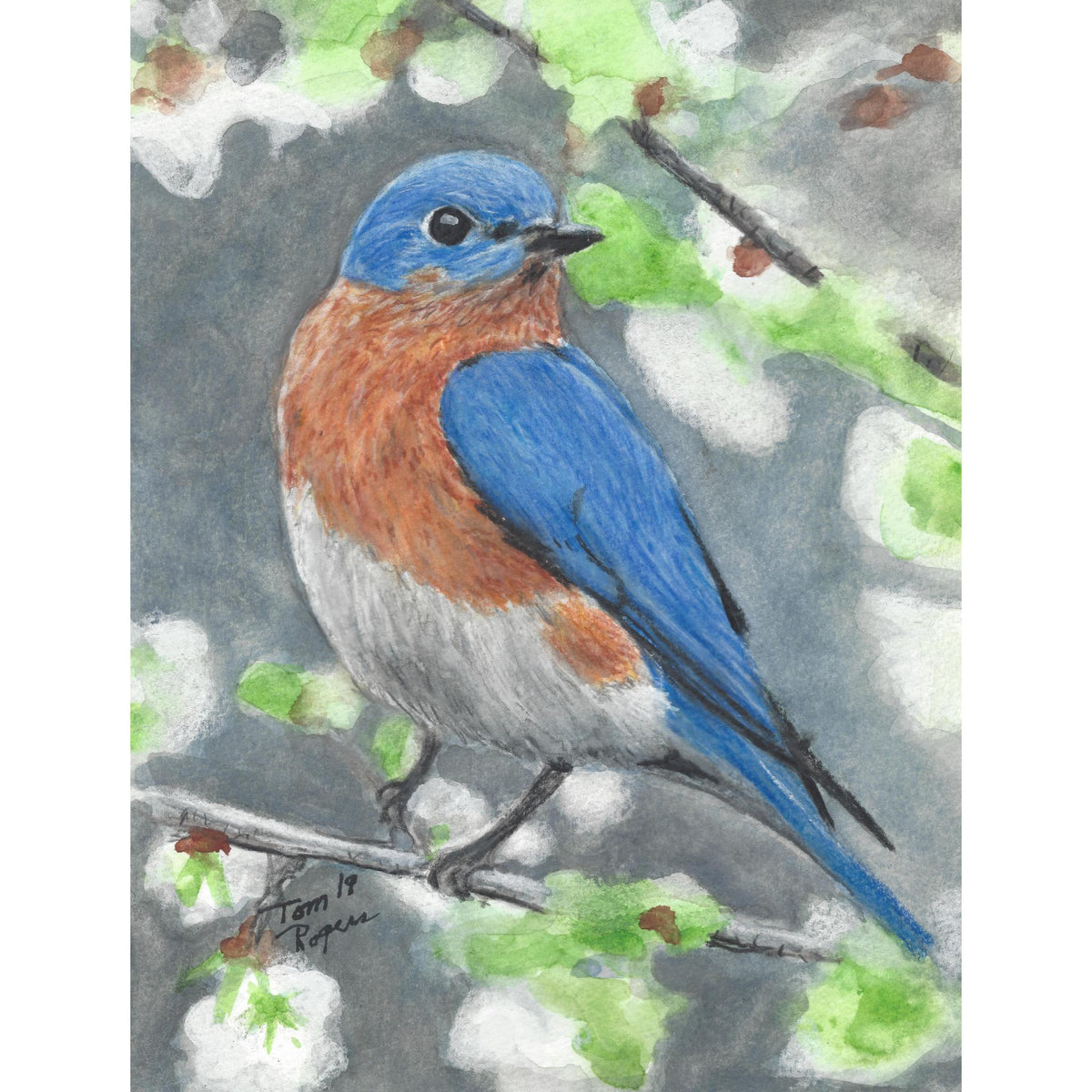 Bluebird
