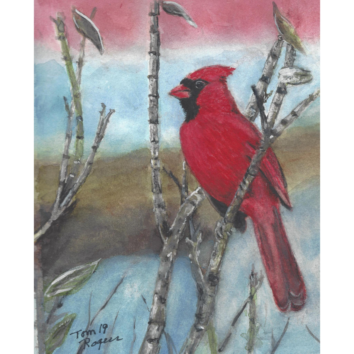 Cardinal Bird
