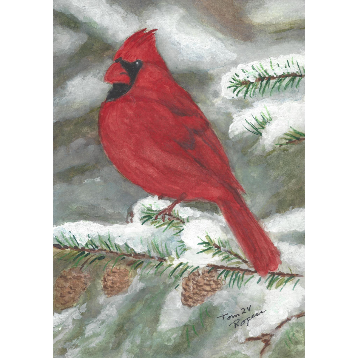 Cardinal Bird