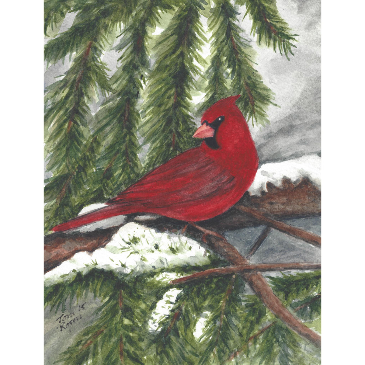 Cardinal Bird