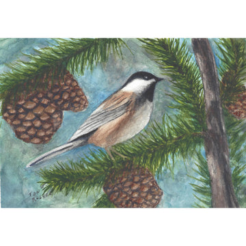 Chickadee