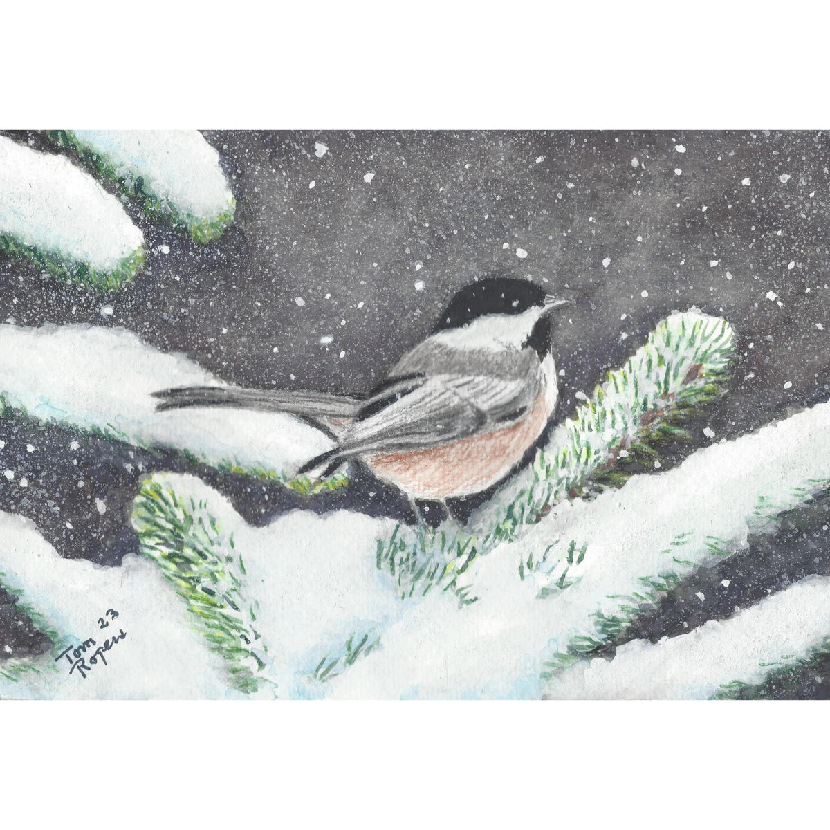 Chickadee