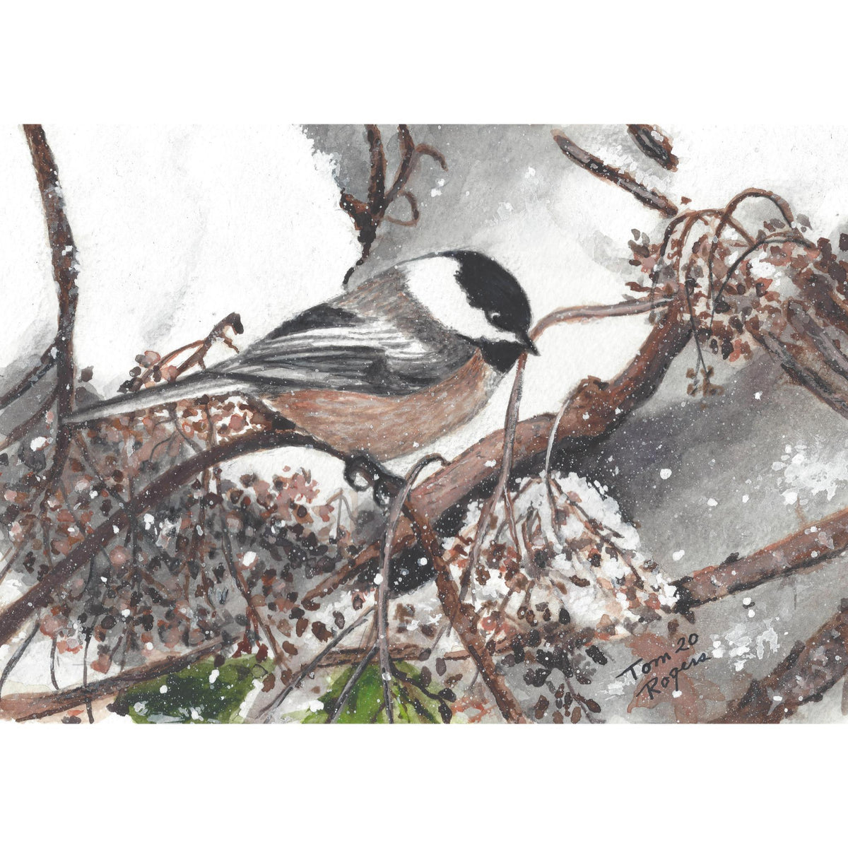 Chickadee