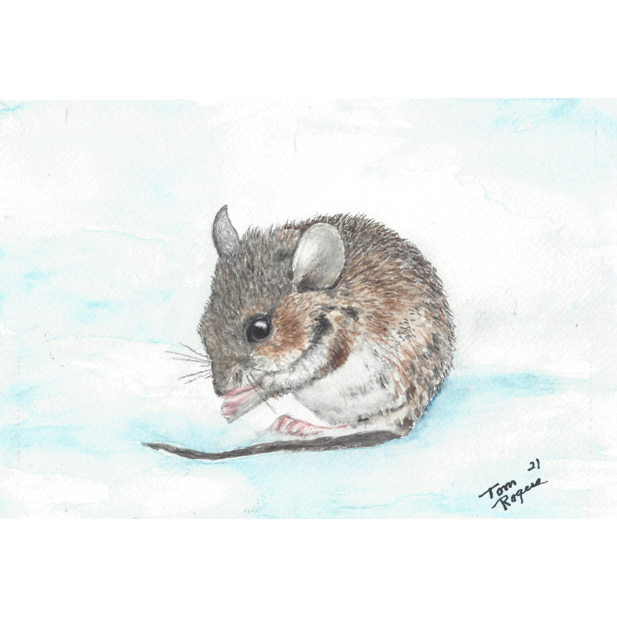 Field mouse in the snow
