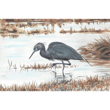 Great Blue Heron