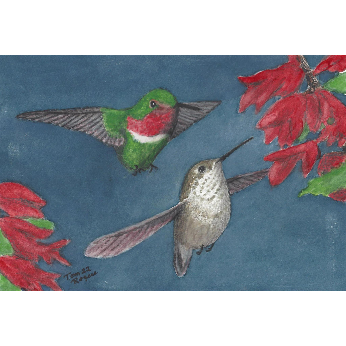 Hummingbirds