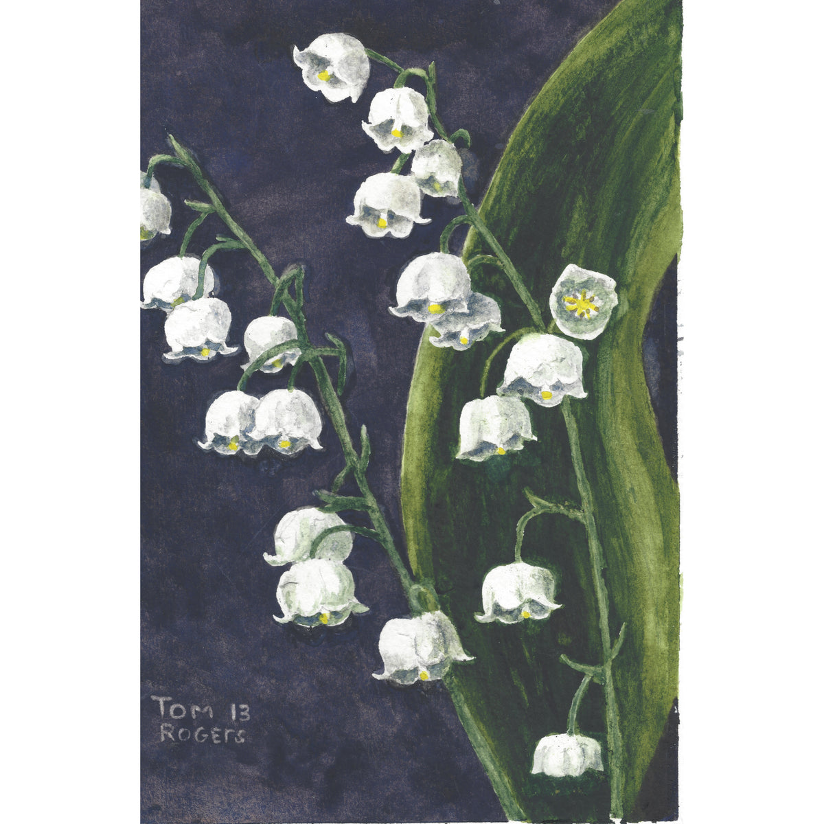 Lily of the valley