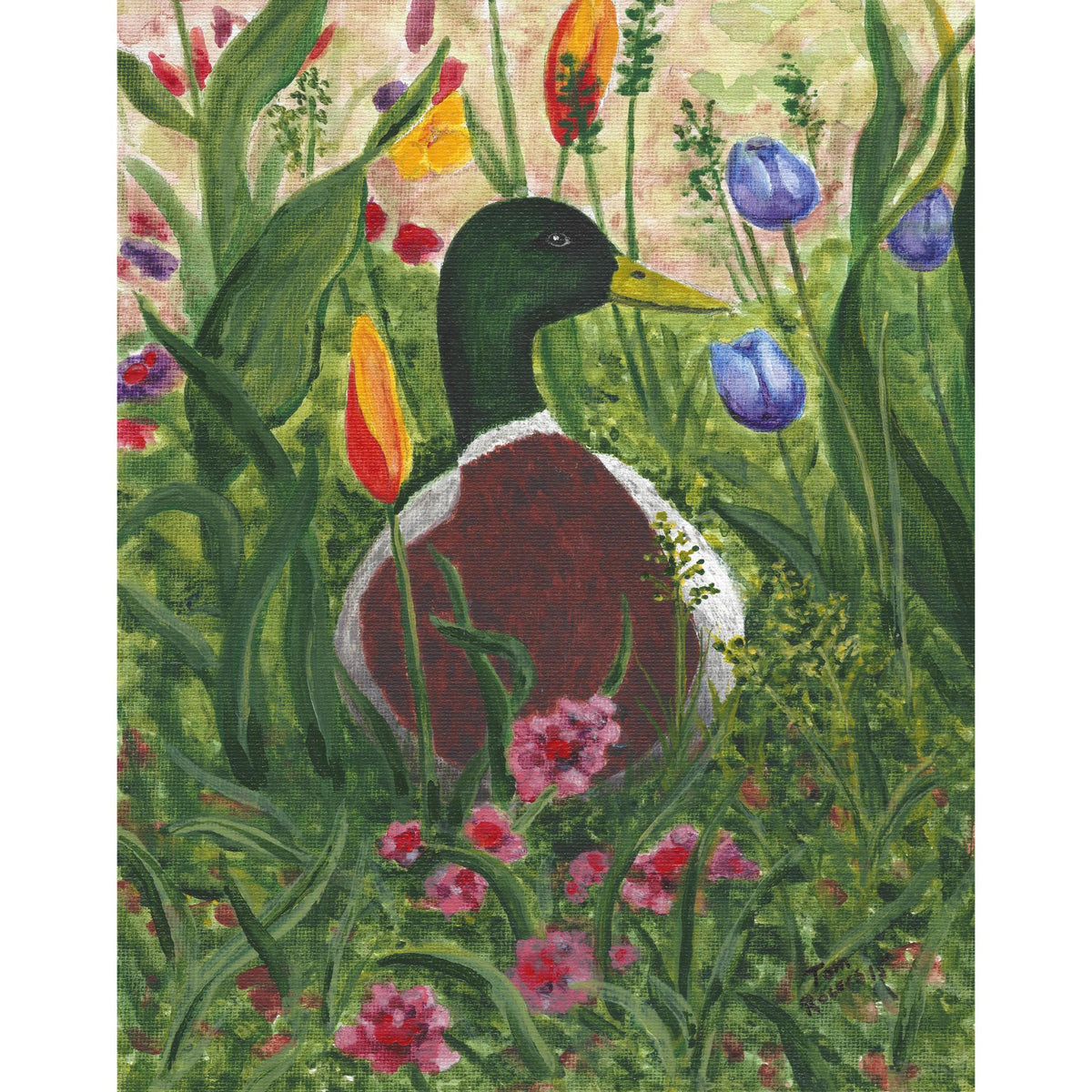 Mallard duck