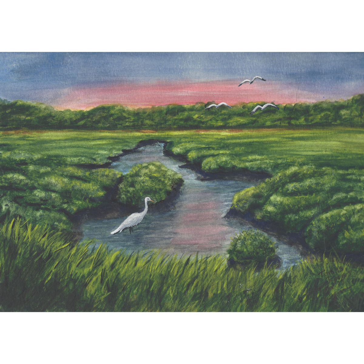 Marshland wit white bird