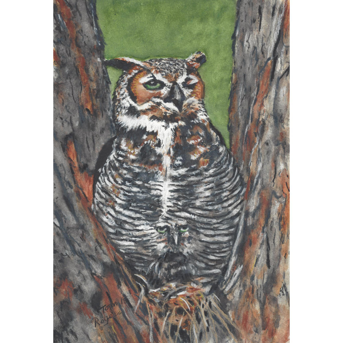 Owl_Horned
