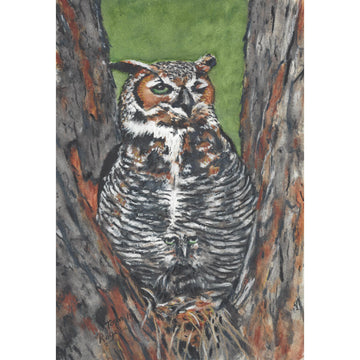 Owl_Horned