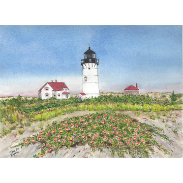 Race point light house,Cape Cod