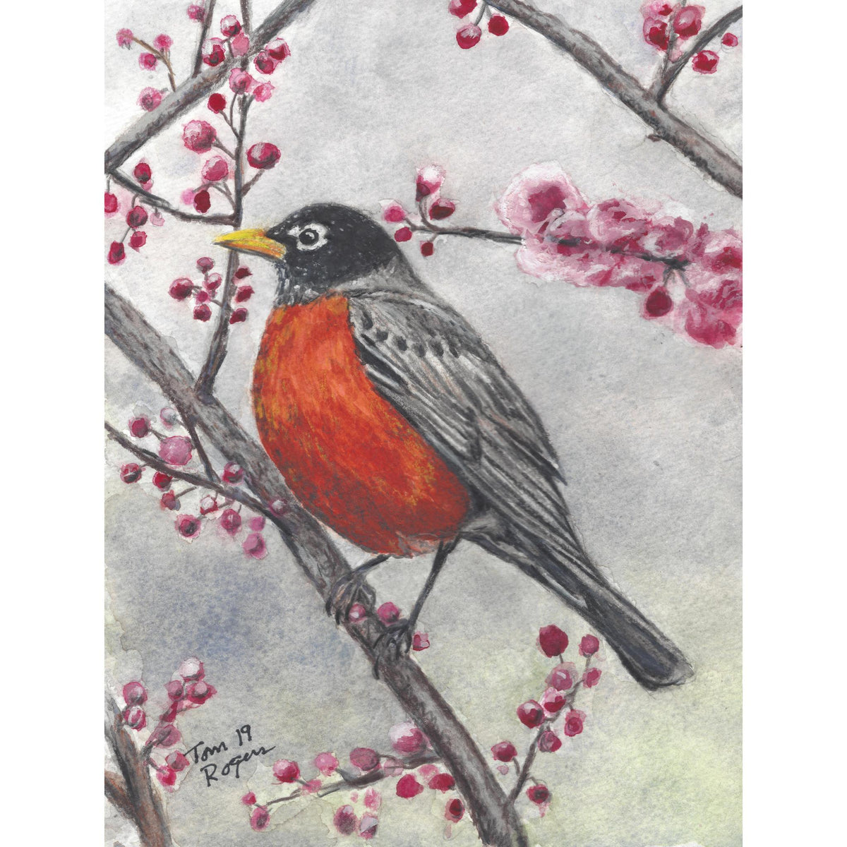Robin