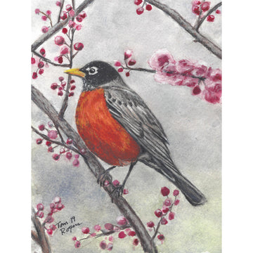 Robin