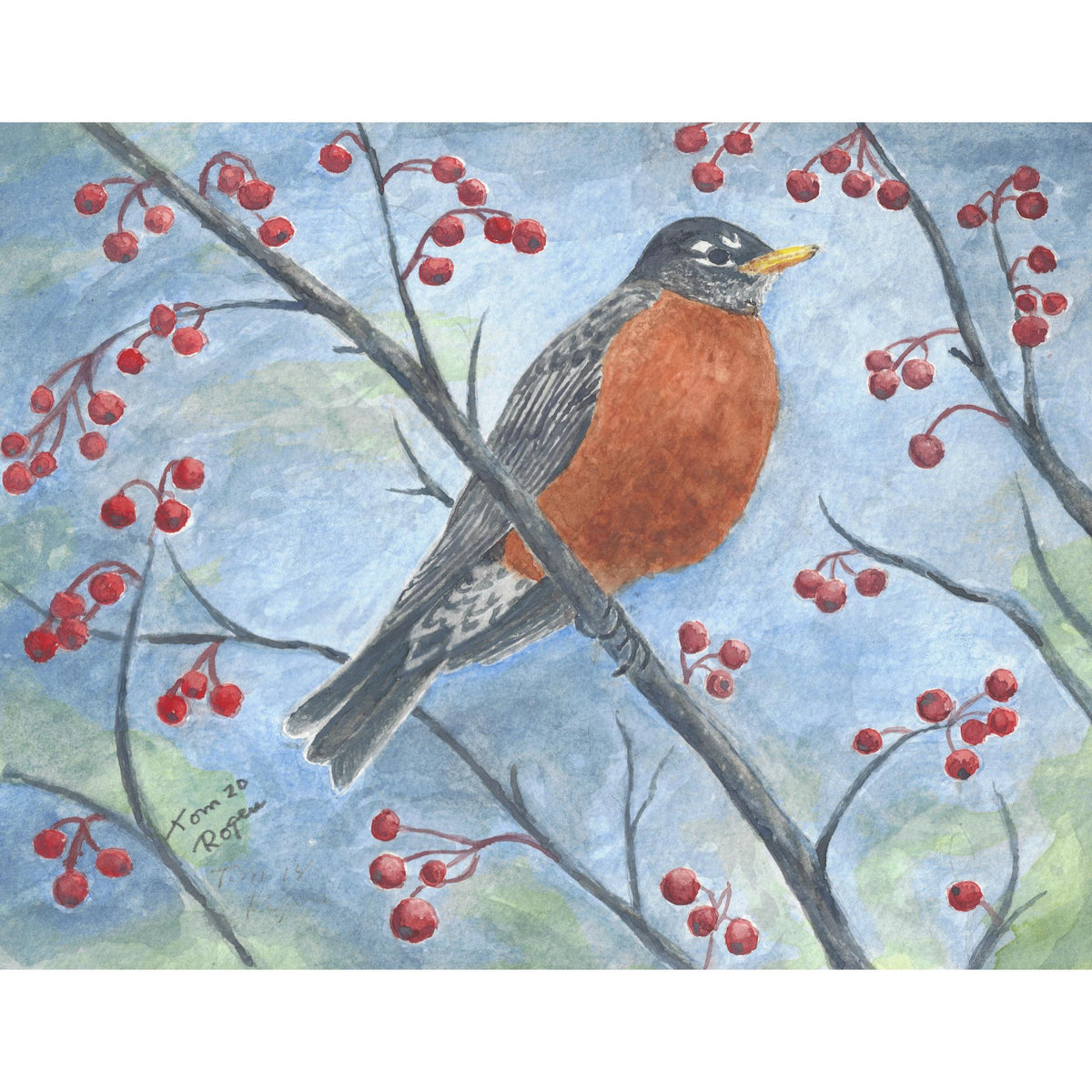 Robin