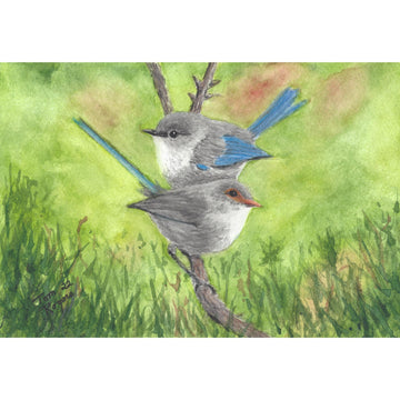 Titmouse and Nuthatch