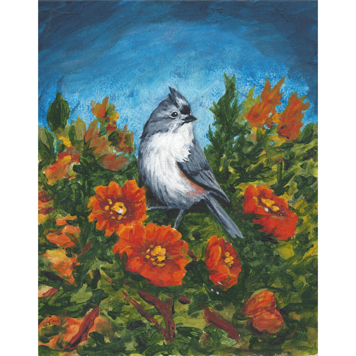 Tufted Titmouse