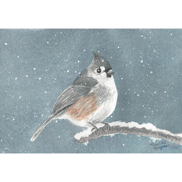 Tufted Titmouse