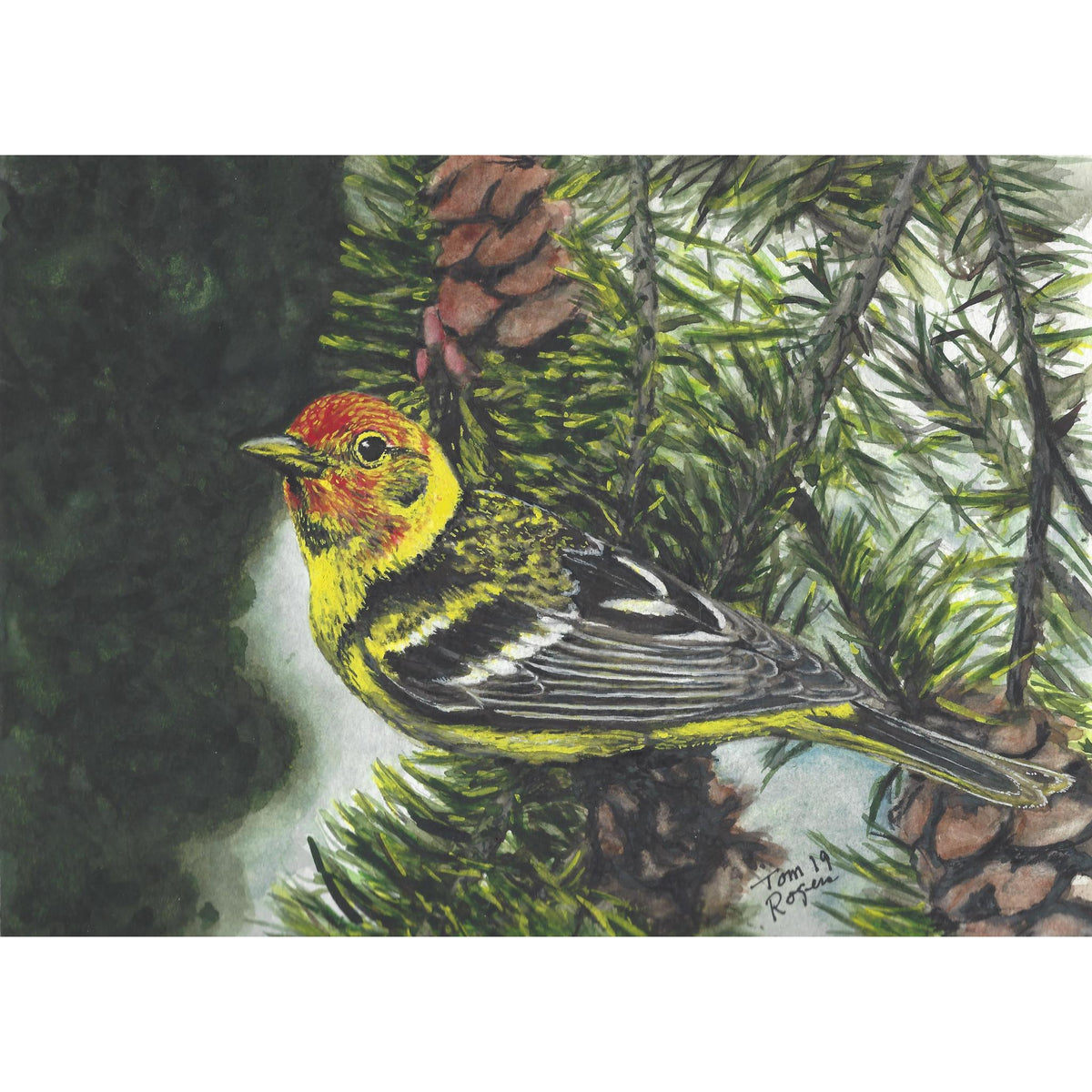 Western Tanager