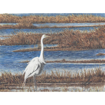 White Heron