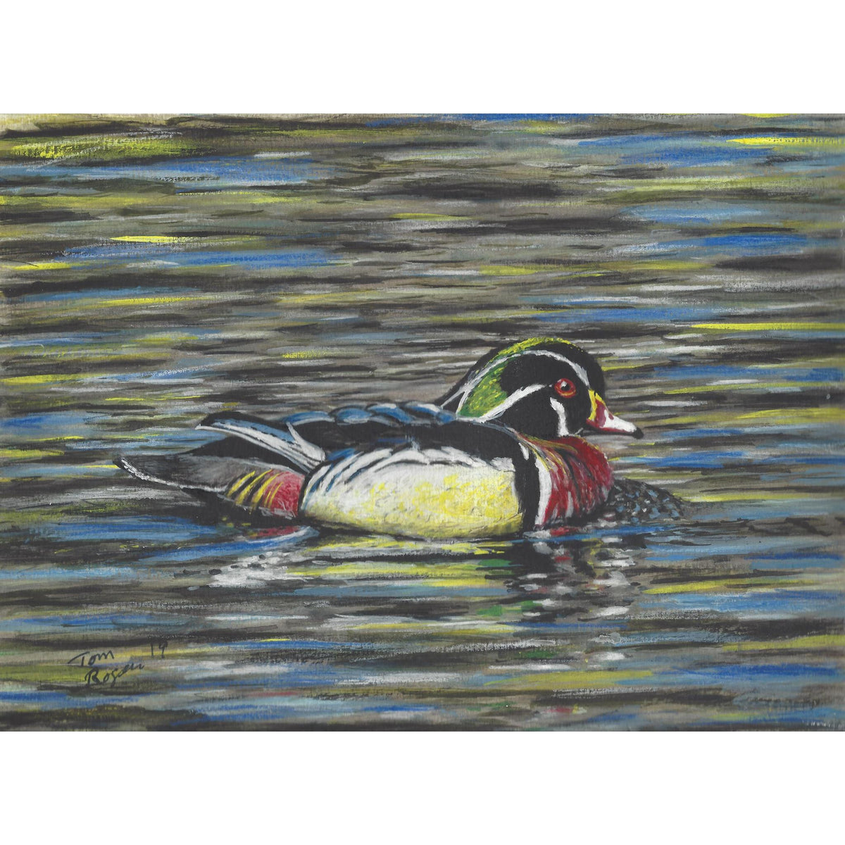 Wood Duck