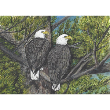 Bald Eagles