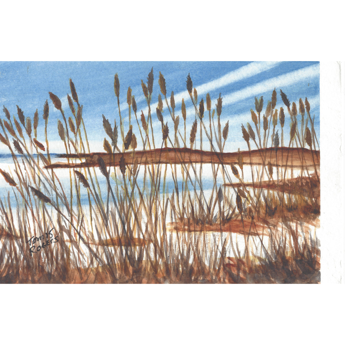Beach scene