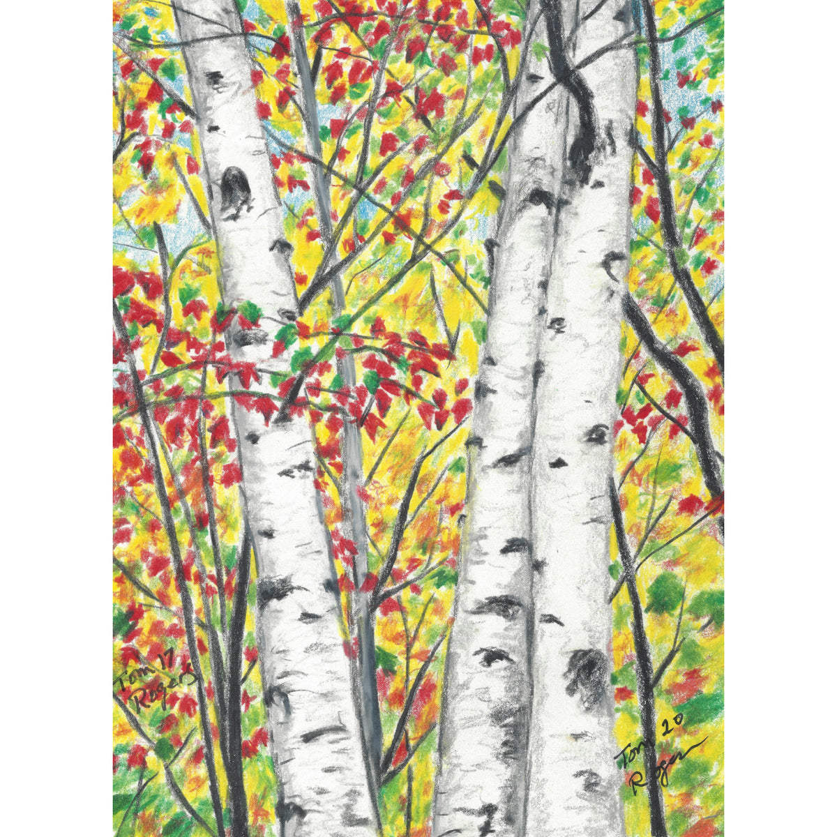 Birch trees