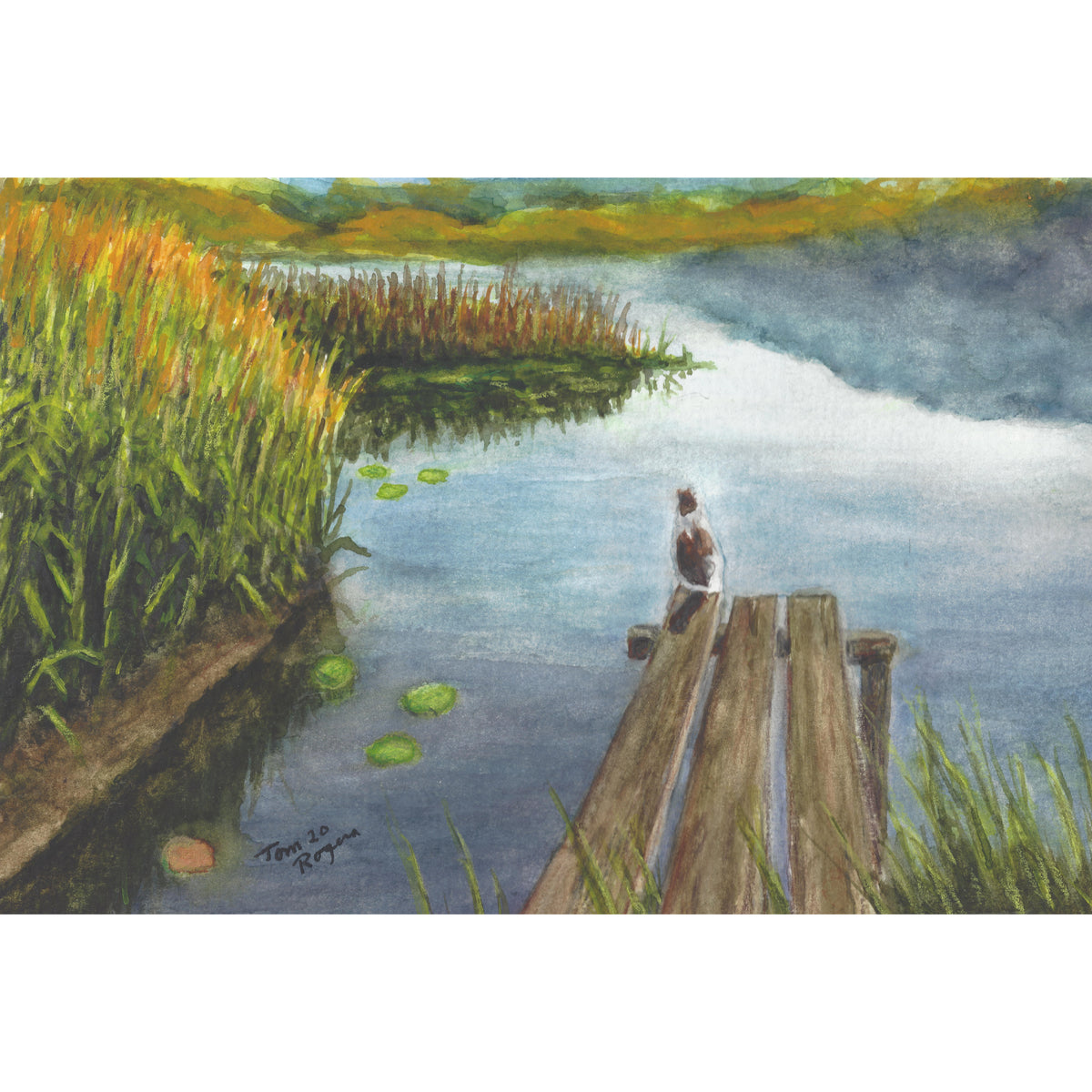 cat on dock overlooking marschland