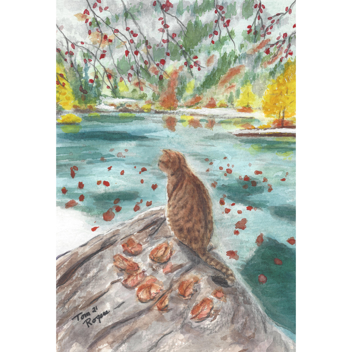 cat on rock at lake