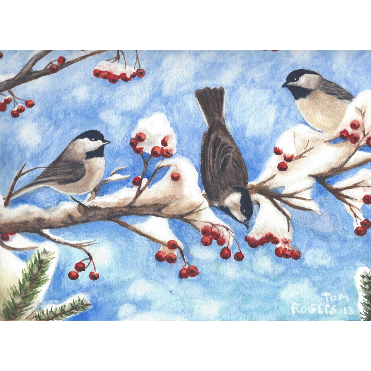 Chickadee