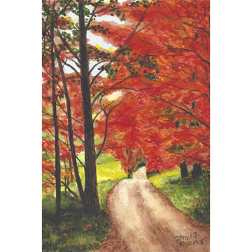 dirt road through woods