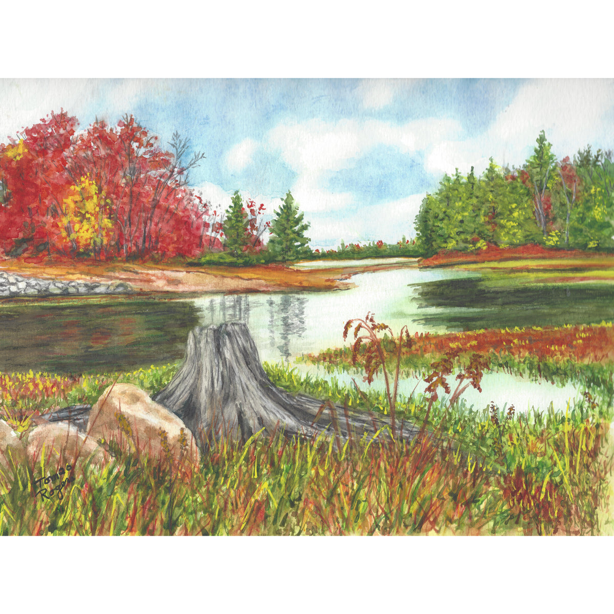 fall scene at lake