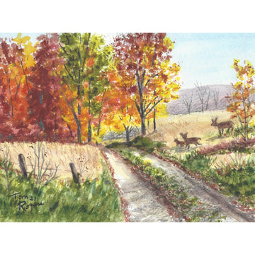 fall scene dirt road through field