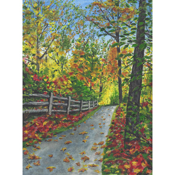 fall scene with road