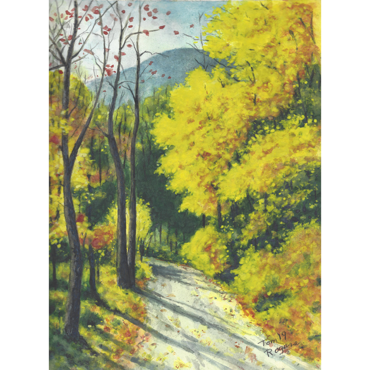 fall scene with road