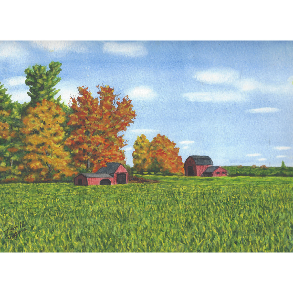 fall scene with road
