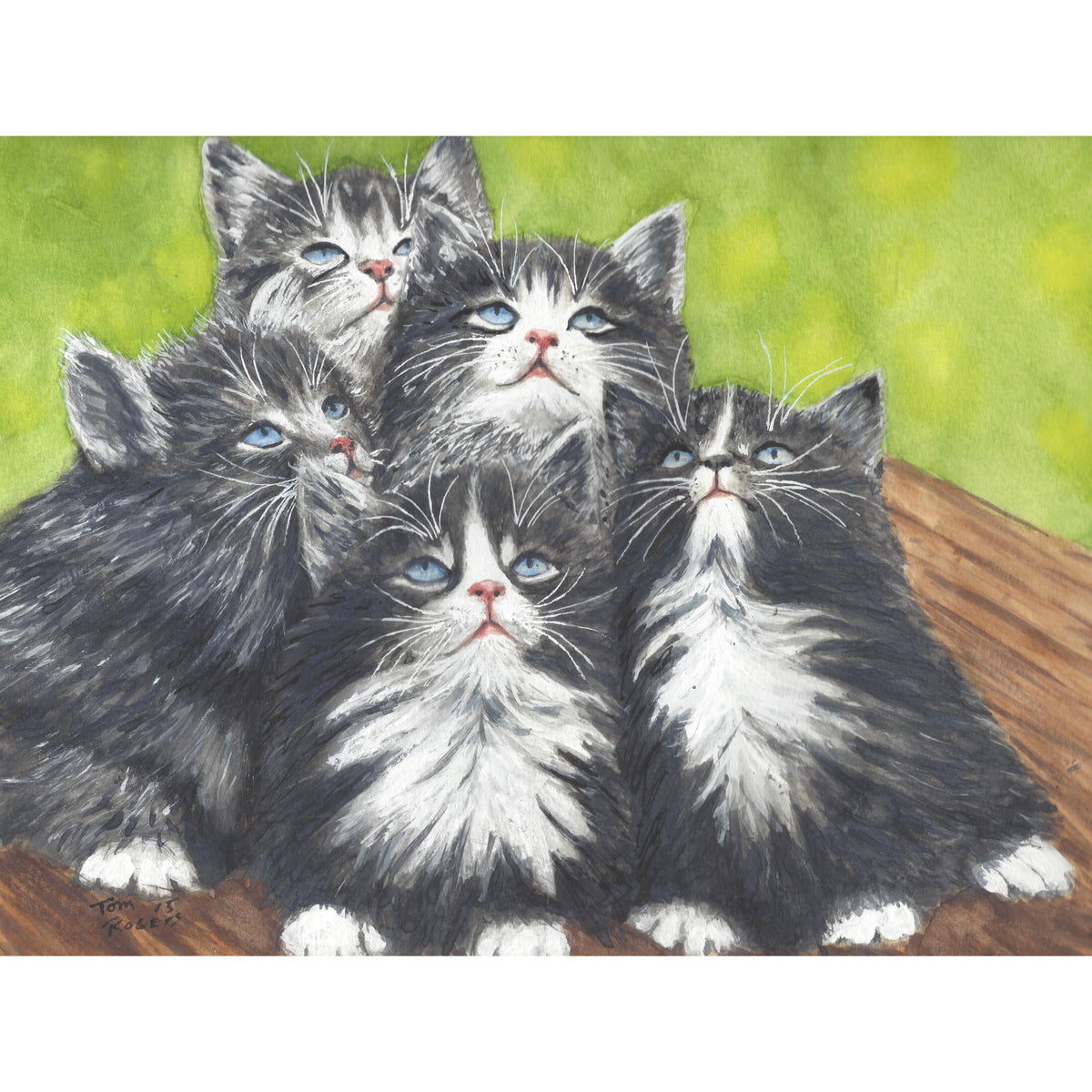 five kitties